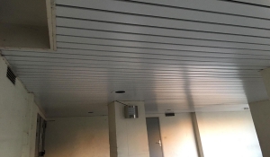 Faux plafond - Noisy le grand (93160 - Seine-Saint-Denis)